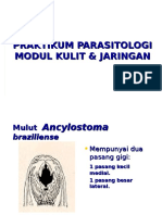 Praktikum Parasitologi Modul Kulit & Jaringan