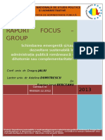 Raport Final Focus Group 2013