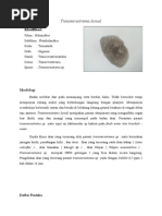 Protozoa Ektoparasit Udang Vaname | PDF