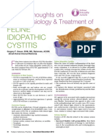 Thoughts On Feline Idiopathic Cystitis