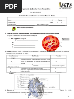 3º Teste CN 6º ano_sistema circulatório + sangue (1) - vasos.doc