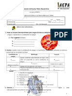 3º Teste CN 6º Ano - Sistema Circulatório + Sangue (1) - Vasos