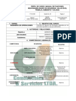 Manual de Funciones Auditor Interno