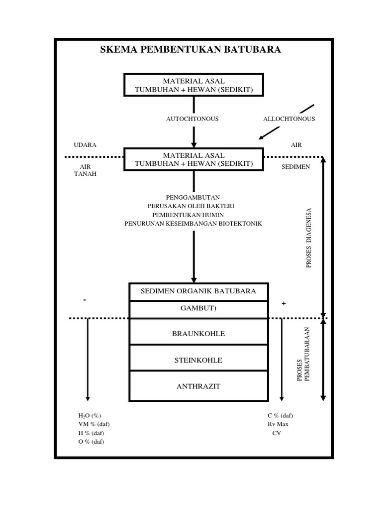Skema Pembentukan Batubara | PDF