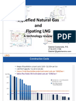 FLNG Technology Review