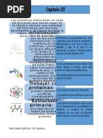 estructura terciarias