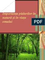 Importanţa pădurilor în natură şi în viaţa omului. Lia