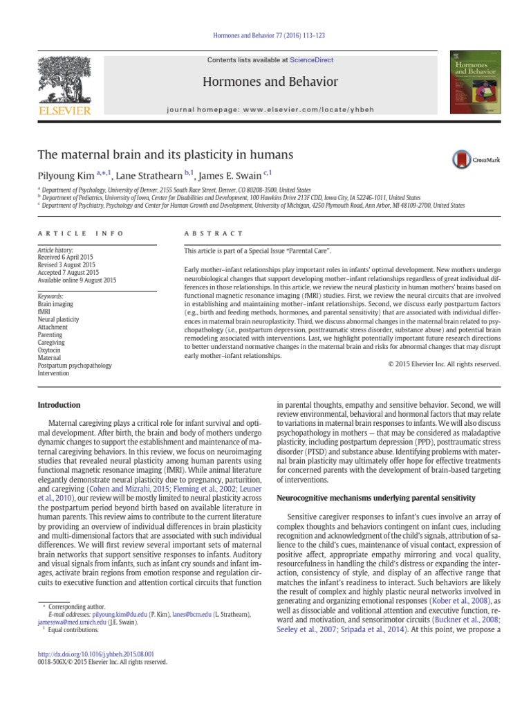 The Maternal Brain and Its Plasticity in Humans | PDF