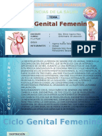 Ciclo Genital Femenino