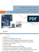 Curso1 Hematuria Dismorfica