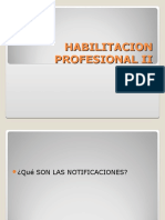 Habilitacion Profesional Ii