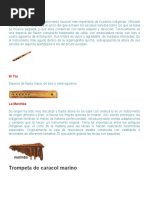 Instrumentos Musicales: Tzu y Tzijolaj | PDF | Flauta | Guatemala