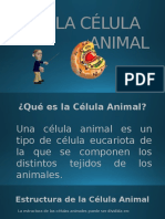 La Célula Animal