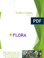 Flora y Fauna