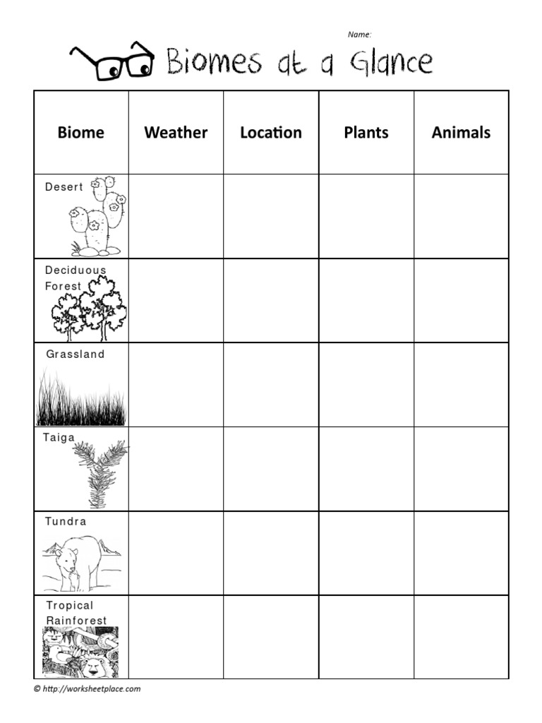 Overview of Major Biomes | PDF | Science & Mathematics