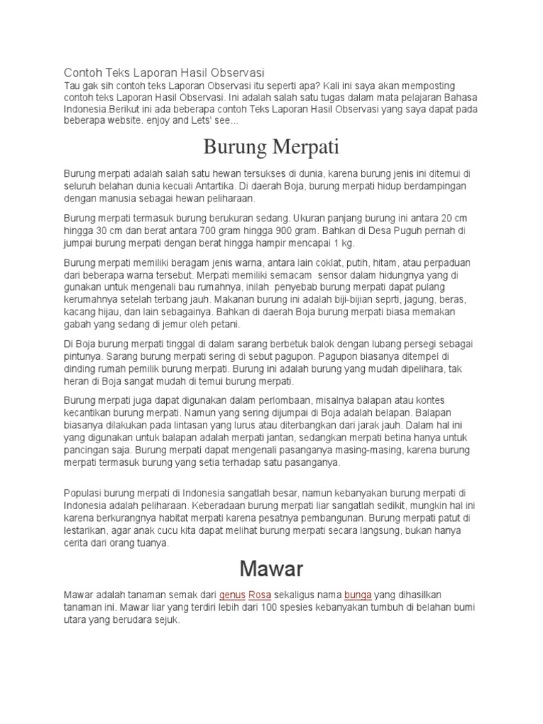Contoh Teks Laporan Hasil Observasi Tentang Bunga Mawar Barisan Contoh