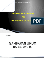 3. . Program PPI