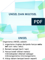 Unisel Dan Multisel