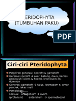 10.  pterydophyta.ppt