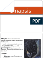 Presentacion Sinapsis