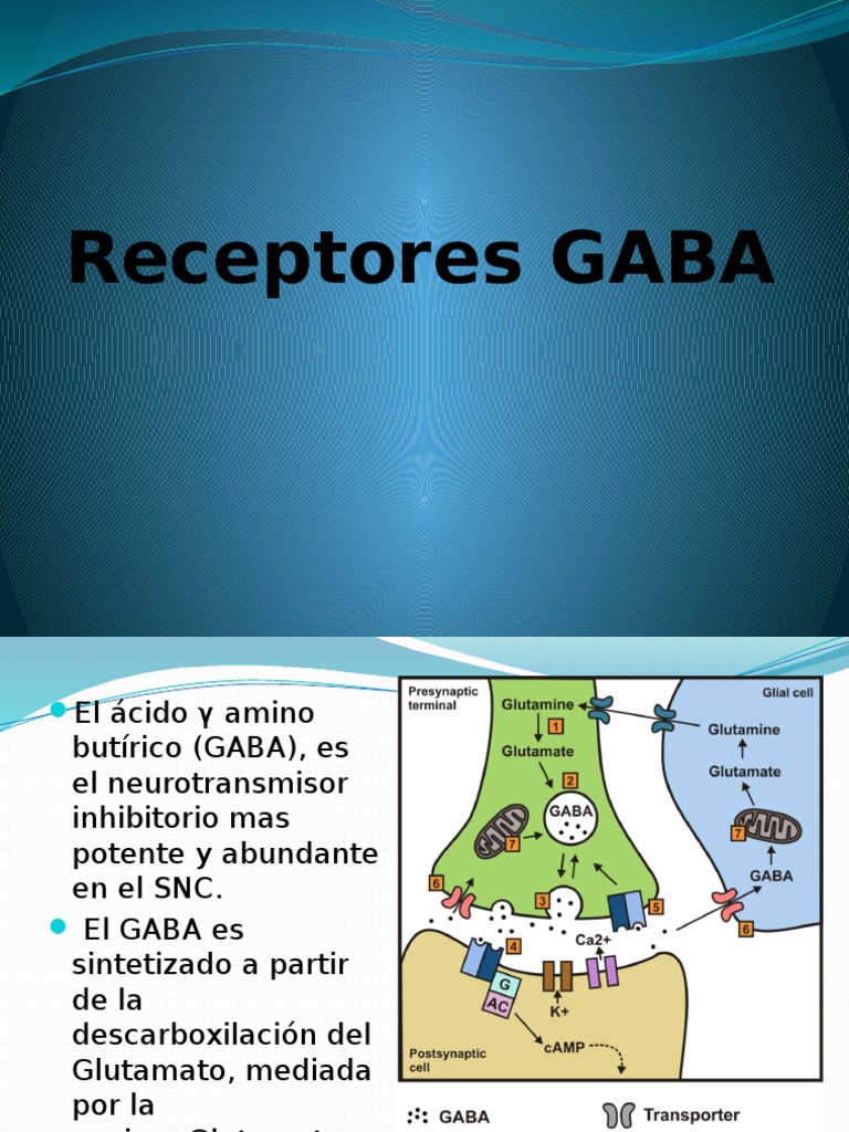 Receptores GABA