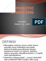 CSS Nefrotik Syndroma