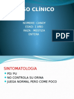 Caso Clinico Analisis de Orina - Veterinaria