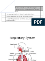 respiratory system website