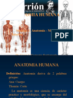 anatomiayfisiologia01-130111203922-phpapp02