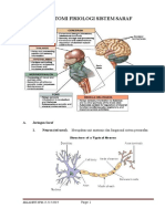 Anatomi Fisiologi Sistem Saraf