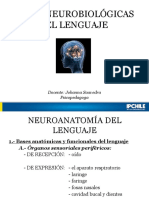 Cerebro y Lenguaje