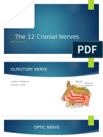 The 12 Cranial Nerves