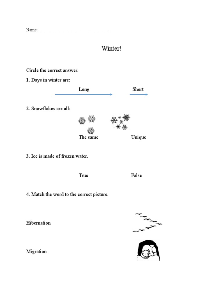 Winter Activities and Quiz for Kids | PDF | Language Arts & Discipline ...
