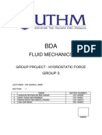 Fluids Mechanics Group Project