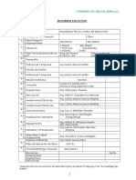 Resumen Ejecutivo Obra C.S. Jerillo