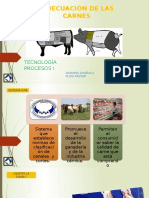 Adecuación de Las Carnes