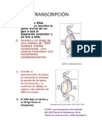 codigo genetico