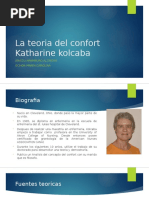 La Teoria Del Confort 