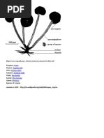 Download jamur by Sonia Alfionika Mega Pratama SN308939743 doc pdf