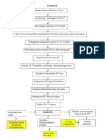 Pathway Hiv