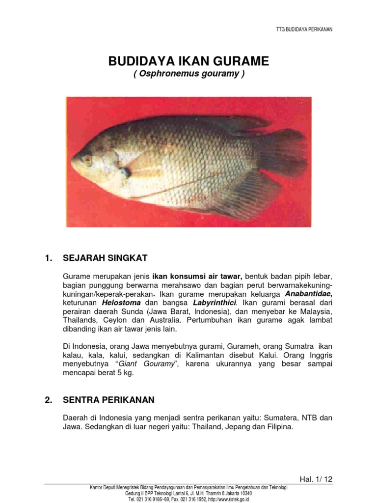 4100 Budidaya Ikan Air Tawar Di Indonesia Pdf HD Terbaik