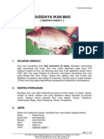 Download ikan mas by petoeah SN3089780 doc pdf