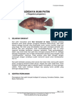 Download ikan patin by petoeah SN3089790 doc pdf