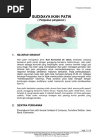 Download ikan patin by petoeah SN3089790 doc pdf