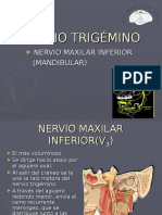 Trigeminomaxilar