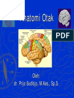 Anatomi Otak Dan Vertebrata