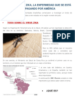 Qué Es El Virus Zika