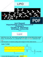 Lipid Uht