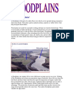 Floodplain: What Is A