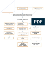 Pathway Struma 1